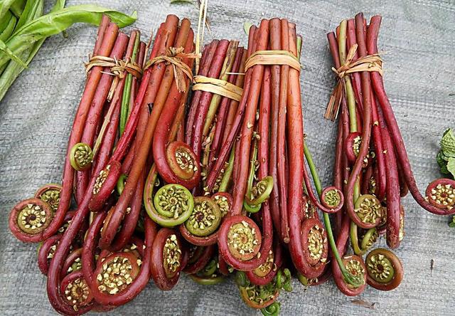 Loại rau nằm trong danh sách gây ung thư mà WHO cảnh báo, chuyên gia khuyên nên thận trọng kẻo ăn nhầm-3