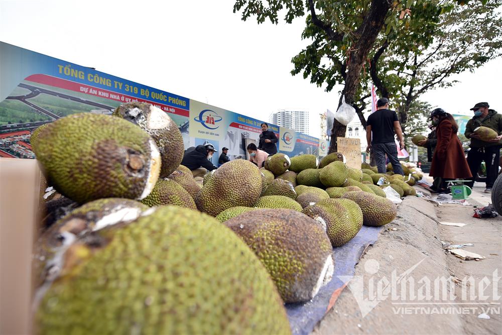 Mít Thái tràn về Hà Nội, giá rẻ ê hề chất đống đầy vỉa hè-4