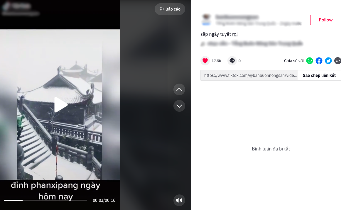 Clip cập nhật đỉnh Fansipan ngập tuyết, dân mạng nghi ngờ tính xác thực: 1 động thái của chủ clip đã nêu rõ sự thật-3