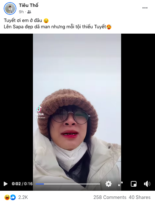 Clip cập nhật đỉnh Fansipan ngập tuyết, dân mạng nghi ngờ tính xác thực: 1 động thái của chủ clip đã nêu rõ sự thật-1