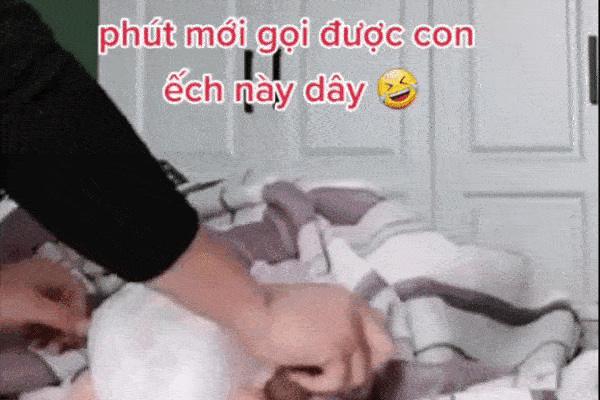 Cảnh bố mẹ mất 30 phút để gọi chú ếch con no sữa vào buổi sáng sớm gây cười sảng-1