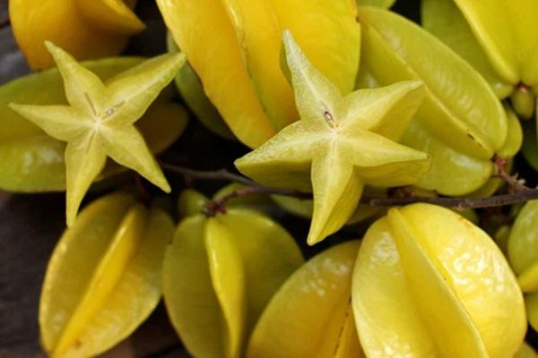 Ăn quả này mỗi ngày sau bữa cơm, phổi sẽ được làm sạch, thải độc cơ thể siêu nhanh, ai cũng nên làm trong mùa khô hanh nhiều bụi mịn-1