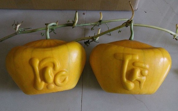 Năm loại trái cây cứ đến Tết lại đắt hàng, có loại cả triệu đồng/quả-10