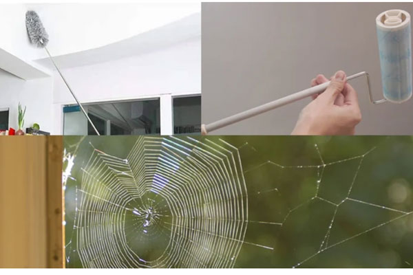 5 cách quét mạng nhện nhanh và sạch, ngăn ngừa mạng nhện quay trở lại-1