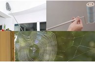 5 cách quét mạng nhện nhanh và sạch, ngăn ngừa mạng nhện quay trở lại