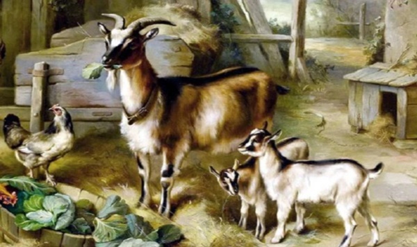 Tổng quan tử vi Ngọ, Mùi, Thân năm Nhâm Dần: Có quý nhân dẫn đường, đón lộc về tiền bạc-2