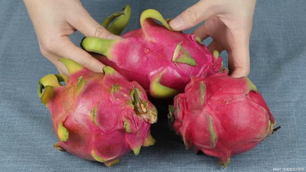 Ra chợ, người thông thái thấy thanh long có dấu hiệu này sẽ mua ngay vì chúng ngon nhất chợ, lại dồi dào dinh dưỡng và rất tốt cho sức khỏe-2