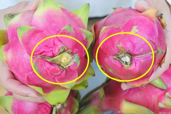 Ra chợ, người thông thái thấy thanh long có dấu hiệu này sẽ mua ngay vì chúng