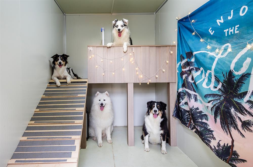 Căn hộ được decor tinh tế theo phong cách Scandinavian của đôi vợ chồng 8x-14