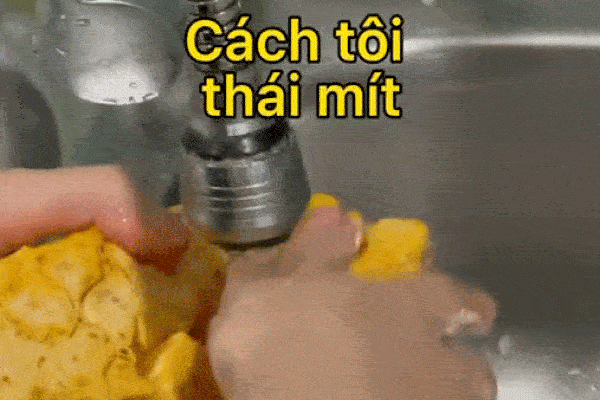 Cây mít mọc giữa văn phòng của một công ty nhưng vẫn mãnh liệt sống và sai quả, nhân viên tiện tay hái một quả bất ngờ ở bên trong-2