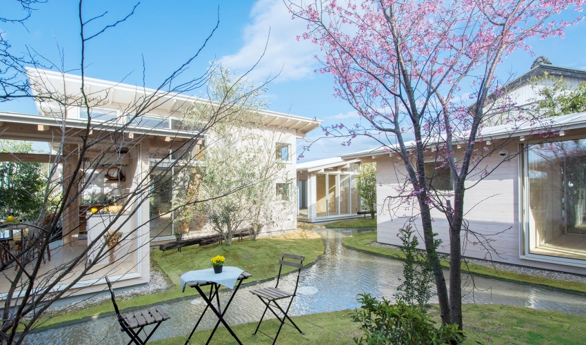 Ngôi nhà hưu trí cộng sinh với thiên nhiên trong khu vườn độc đáo và lạ mắt-1