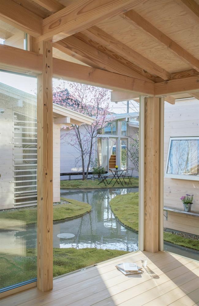 Ngôi nhà hưu trí cộng sinh với thiên nhiên trong khu vườn độc đáo và lạ mắt-6