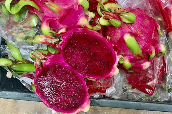 Thanh long được làm thành bánh mì và thạch bán ở siêu thị với giá chỉ 3.500 đồng/chiếc-5