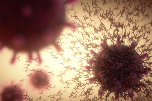 Đối tượng dễ bị Omircon tấn công nhất: Lo ngại vì chưa được tiêm vaccine-1