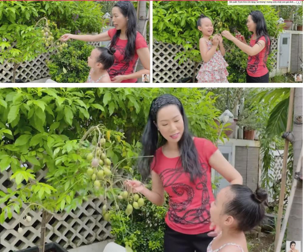 Trịnh Kim Chi khoe tài trồng rau trái cực mát tay: Toàn cây nhỏ xíu mà sai quả hái không xuể-2