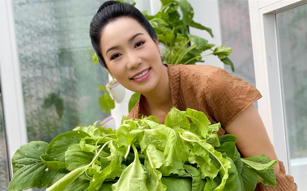 Trịnh Kim Chi khoe tài trồng rau trái cực mát tay: Toàn cây nhỏ xíu mà sai quả hái không xuể-10