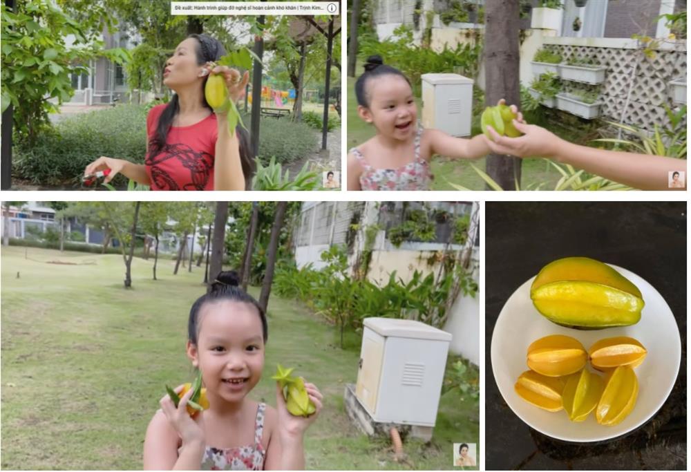 Trịnh Kim Chi khoe tài trồng rau trái cực mát tay: Toàn cây nhỏ xíu mà sai quả hái không xuể-5