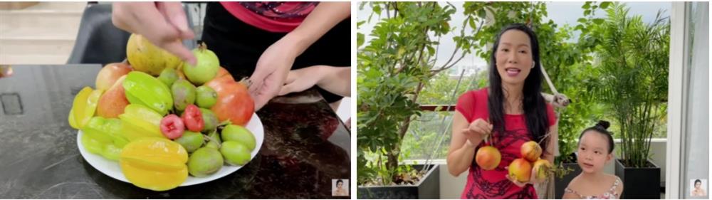 Trịnh Kim Chi khoe tài trồng rau trái cực mát tay: Toàn cây nhỏ xíu mà sai quả hái không xuể-8