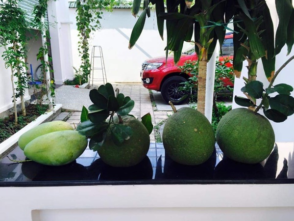 Việt Trinh về nhà vườn rộng 2.500m2 ở Bình Dương dịp Tết dương lịch, cây trái xum xuê, hoa nở 4 mùa ai cũng mê-6