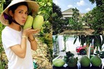Ở lại Hà Nội đón Tết dương lịch, bà xã MC Thành Trung khoe căn penthouse cao cấp ngập cây xanh và hoa tươi-15