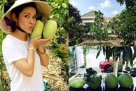 Việt Trinh về nhà vườn rộng 2.500m2 ở Bình Dương dịp Tết dương lịch, cây trái xum xuê, hoa nở 4 mùa ai cũng mê