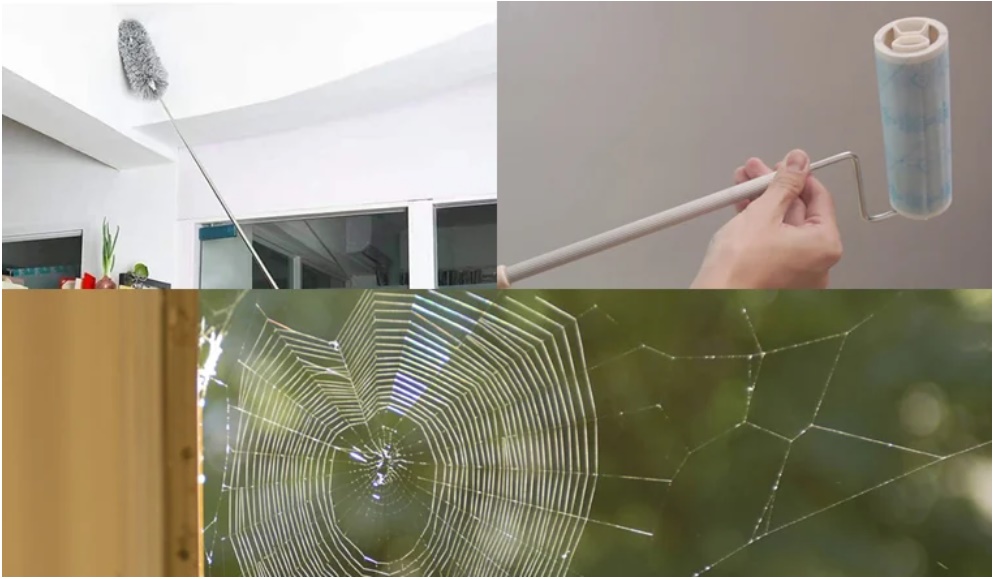 5 cách quét mạng nhện nhanh và sạch, ngăn ngừa mạng nhện quay trở lại-1