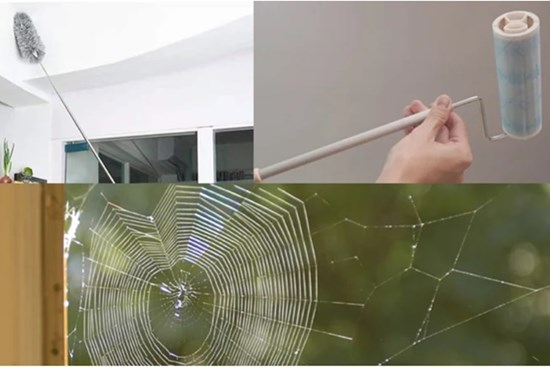 5 cách quét mạng nhện nhanh và sạch, ngăn ngừa mạng nhện quay trở lại