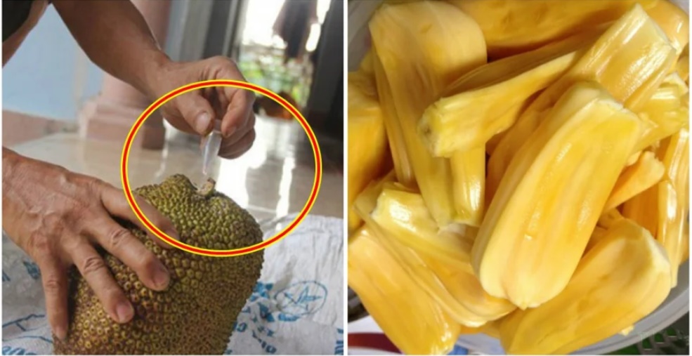 Mẹo nhận biết mít chín cây và mít ngậm hoá chất-1