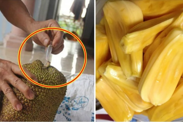 4 cách đuổi nhện ra khỏi nhà hoàn toàn tự nhiên, không độc hại, không phải ai cũng biết-4