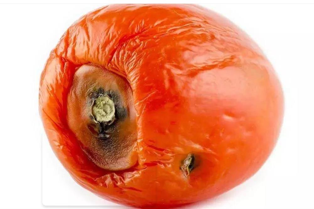 Đừng vội vứt bỏ cà chua hỏng, chúng rất có giá trị và thiết thực trong mỗi gia đình-2