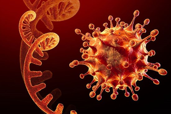 TP.HCM ghi nhận 5 ca nghi mắc biến thể Omicron