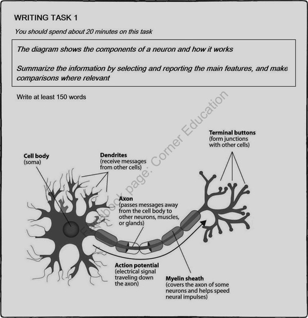 90% dân học Tiếng Anh nhìn vào hình này sẽ mất toi 4,7 triệu chỉ vì lý do dở khóc dở cười này...-1