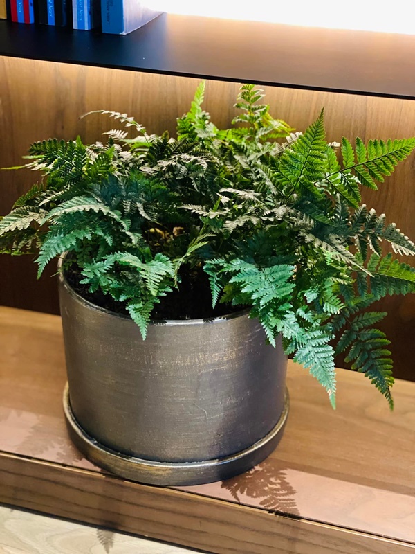 Ở lại Hà Nội đón Tết dương lịch, bà xã MC Thành Trung khoe căn penthouse cao cấp ngập cây xanh và hoa tươi-6