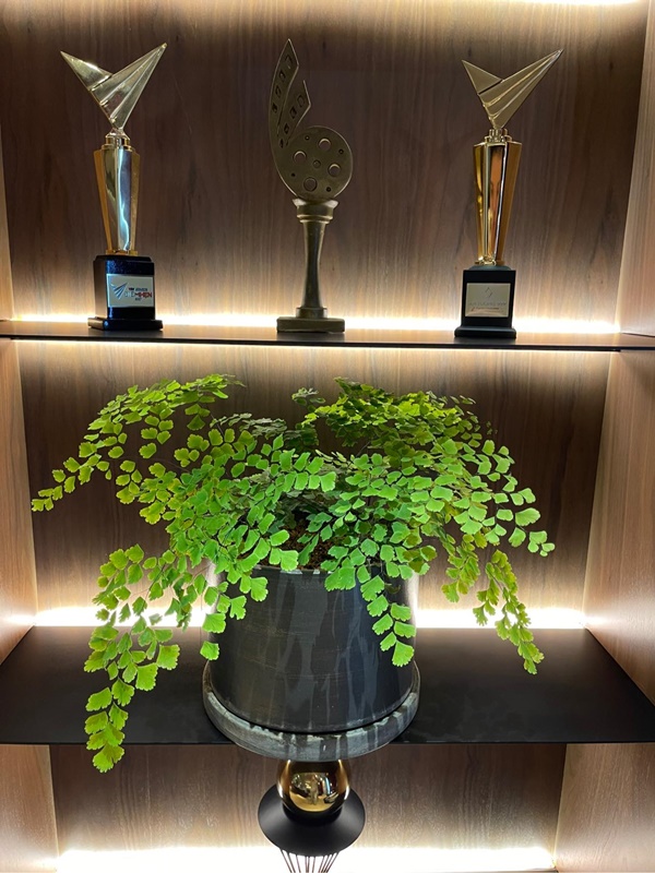 Ở lại Hà Nội đón Tết dương lịch, bà xã MC Thành Trung khoe căn penthouse cao cấp ngập cây xanh và hoa tươi-4