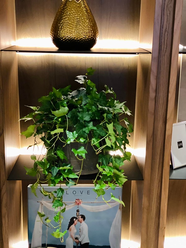 Ở lại Hà Nội đón Tết dương lịch, bà xã MC Thành Trung khoe căn penthouse cao cấp ngập cây xanh và hoa tươi-5