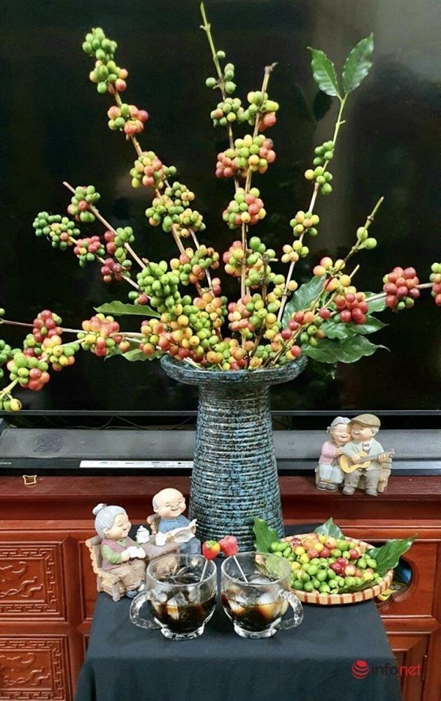 Cắt cành me rừng, bẻ nhánh táo mèo cắm chơi... mốt lạ 2021-2