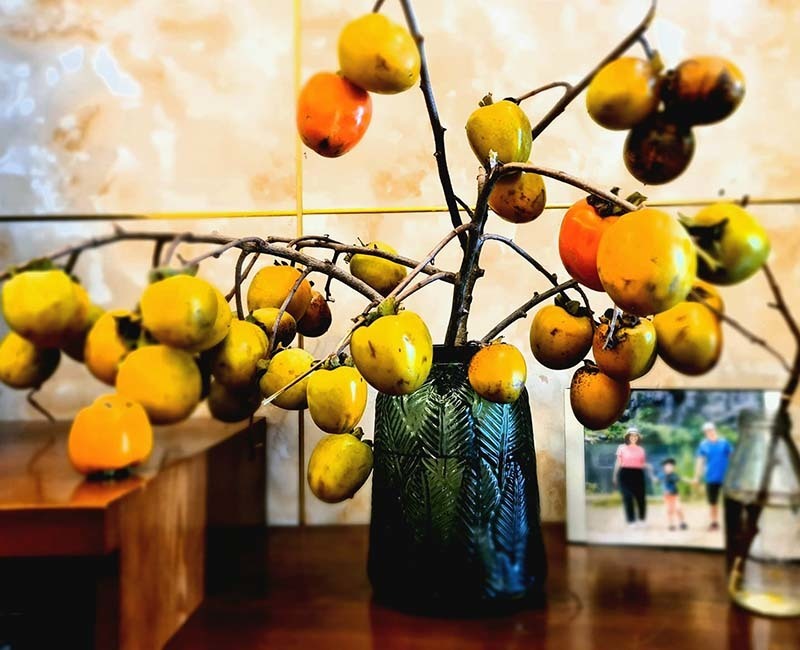 Cắt cành me rừng, bẻ nhánh táo mèo cắm chơi... mốt lạ 2021-5