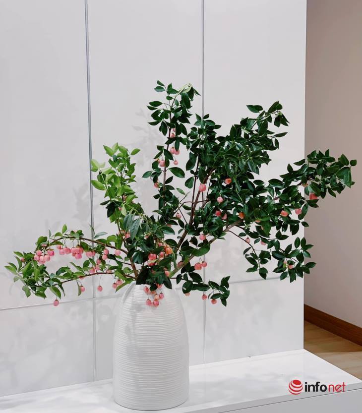 Cắt cành me rừng, bẻ nhánh táo mèo cắm chơi... mốt lạ 2021-14