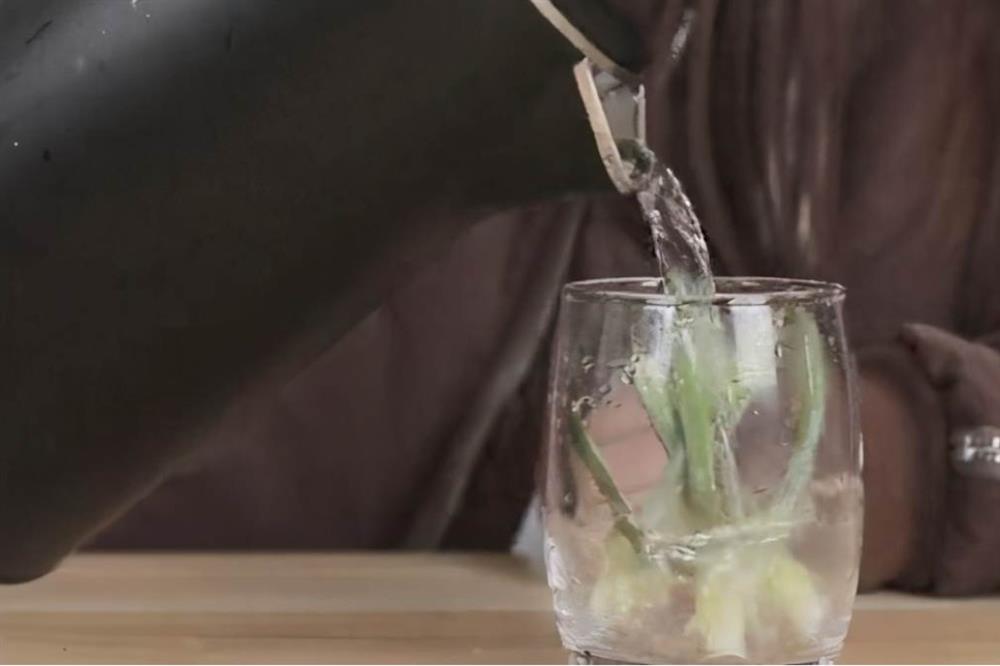 Đừng vội vứt bỏ phần vỏ của quả dứa, làm theo cách này có công dụng thật thần kỳ, ai cũng muốn học theo-4