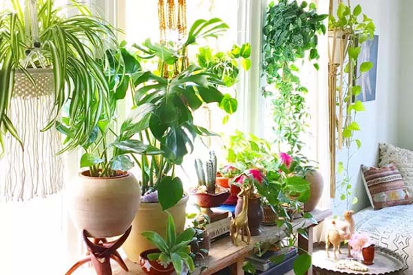 Đặt bàn thờ ở tầng 1 hay tầng thượng mới chuẩn phong thủy?-2