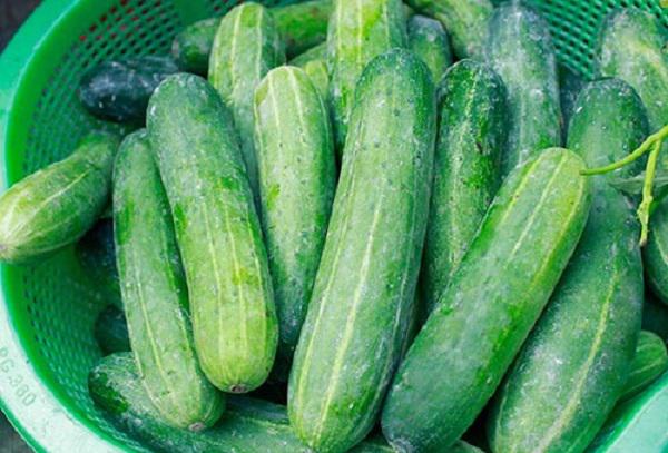 Muốn biết dưa chuột có bị tẩm hoá chất để lớn hay không hãy nhìn vào lớp phấn mỏng phủ bên ngoài vỏ dưa-2