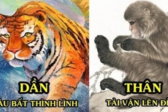 Tử vi tuần mới từ ngày 3/1-9/1/2021 của 12 con giáp: Dần cẩn trọng tiểu nhân đeo bám, Thân có tin vui về tiền
