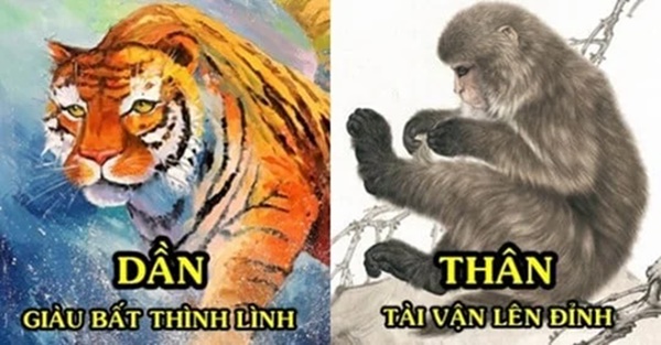 Tử vi tuần mới từ ngày 3/1-9/1/2021 của 12 con giáp: Dần cẩn trọng tiểu nhân đeo bám, Thân có tin vui về tiền-1