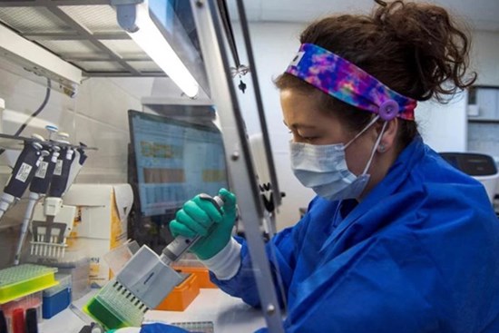 Nghiên cứu chỉ ra Omicron gây bệnh nhẹ vì ít tấn công phổi