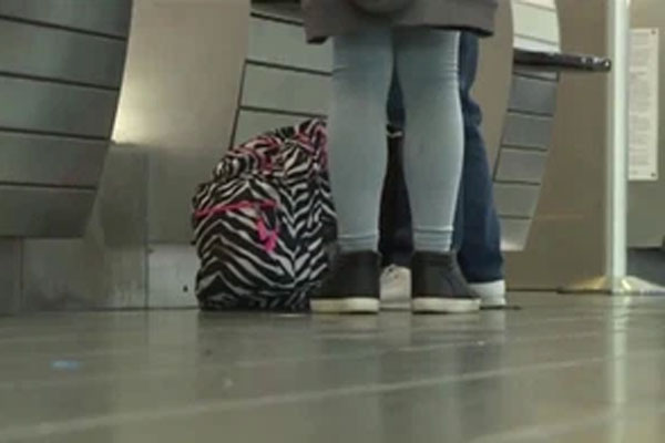 Bị hàng nghìn sinh vật xâm chiếm toàn bộ ngôi nhà, gia đình kêu trời vì đi không được ở cũng chẳng xong-3