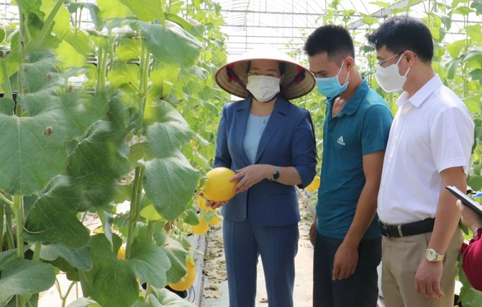 Đổi thay tại các xã nông thôn mới nâng cao ở Hà Nội-3