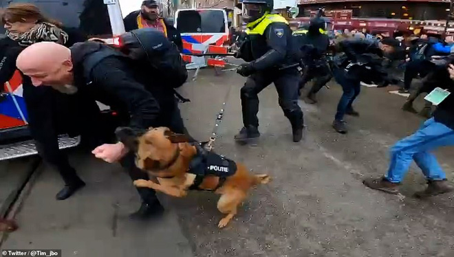 Chưa bao giờ hỗn loạn đến thế: Phong tỏa Covid quá lâu, người Hà Lan tràn ra đường biểu tình bạo động, cảnh sát dẹp loạn bằng chó và gậy gộc-5