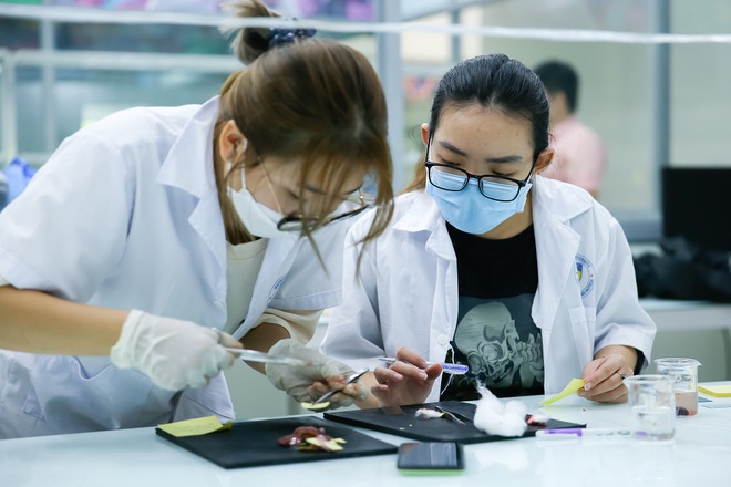 Bức tranh xét tuyển đại học năm 2022-2