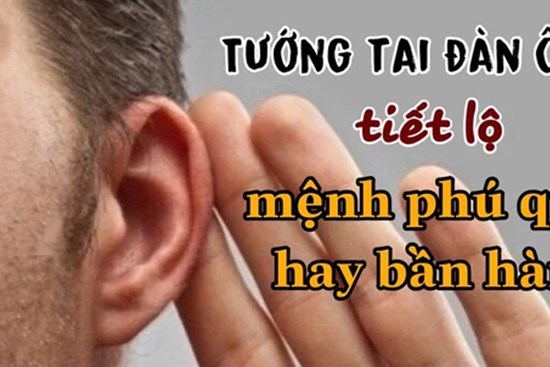 7 tướng tai nói lên vận mệnh cuộc đời người đàn ông: Đã nghèo là mạt kiếp, giàu thì không ai bằng, bạn thuộc kiểu 'tai giàu' hay 'tai nghèo' ?