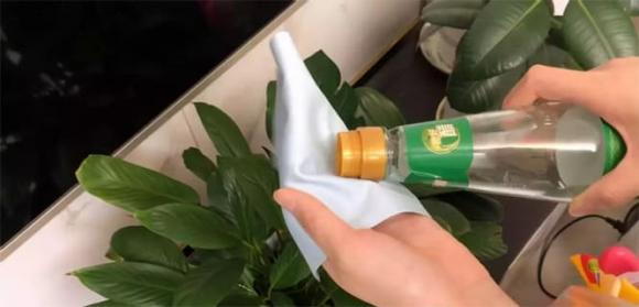 Tivi sử dụng lâu ngày bị ố bẩn màn hình? Không lau bằng nước, hãy học đúng cách, vừa lau sạch vừa không hại màn hình!-2